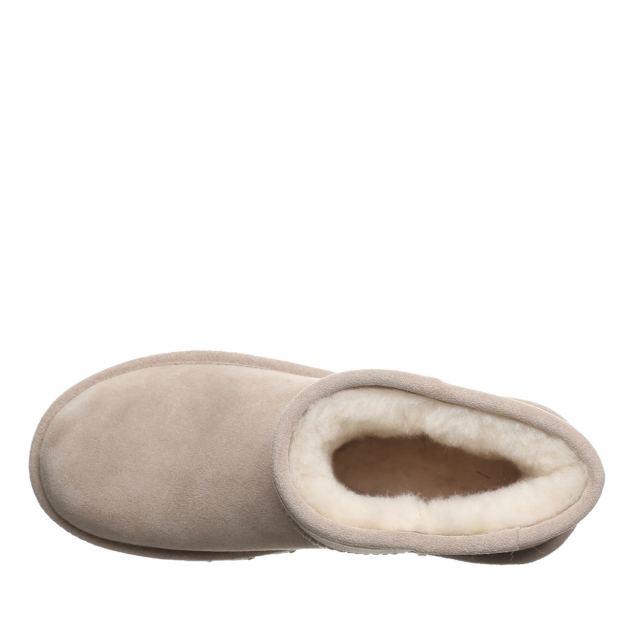 ALYSSA MUSHROOM - Image 5