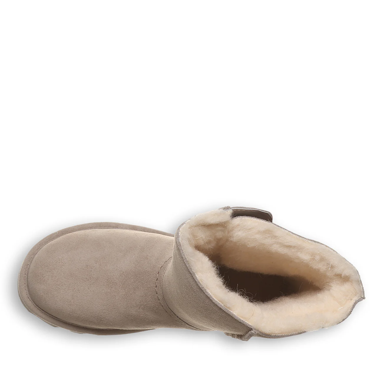 AURELIA MUSHROOM - Image 5