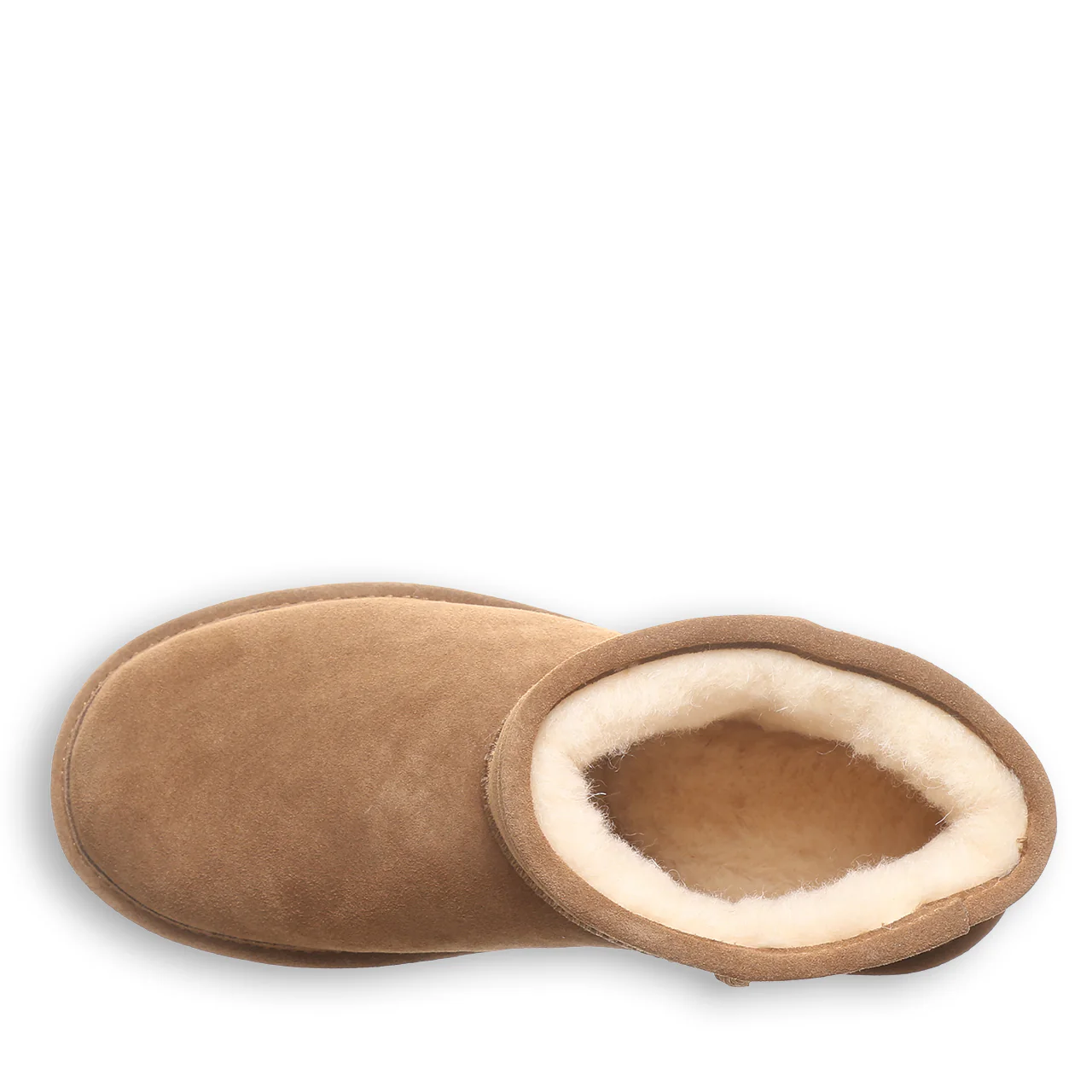 DEMI HICKORY - Image 5