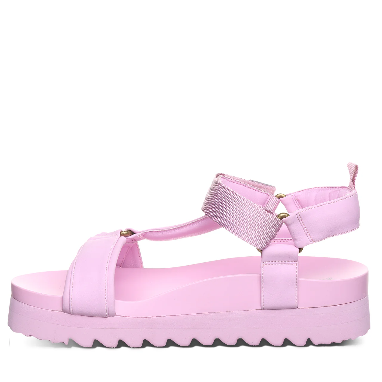 HYDRA PINK - Image 3
