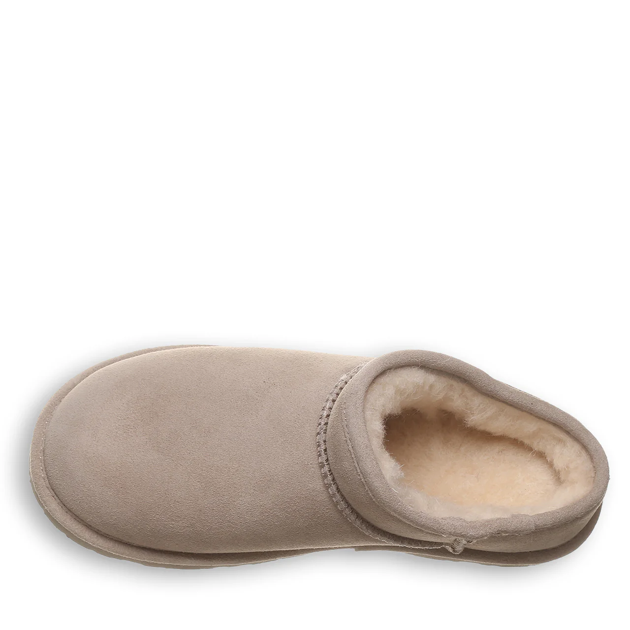 KAMALA MUSHROOM - Image 5