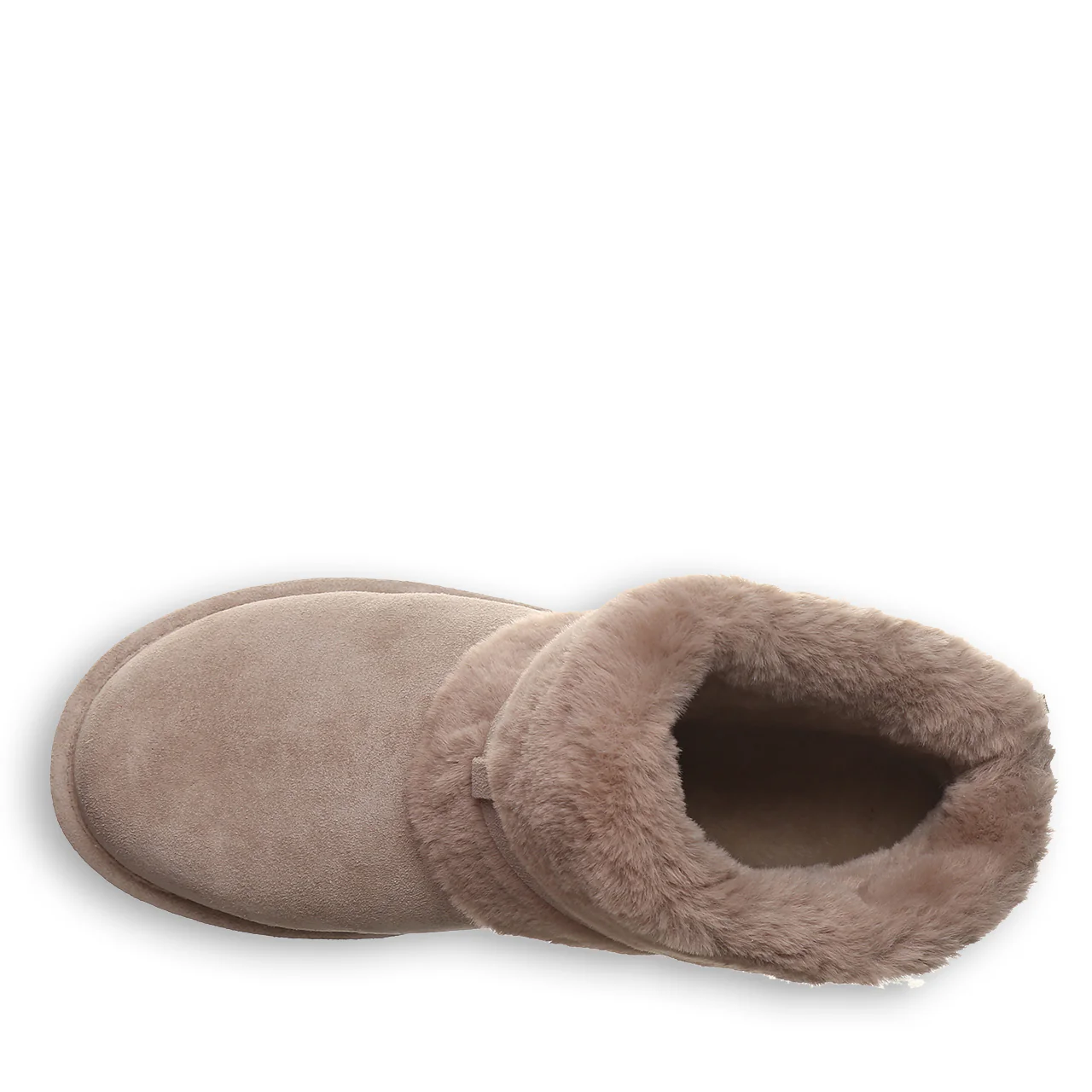 KARMINA MUSHROOM - Image 5