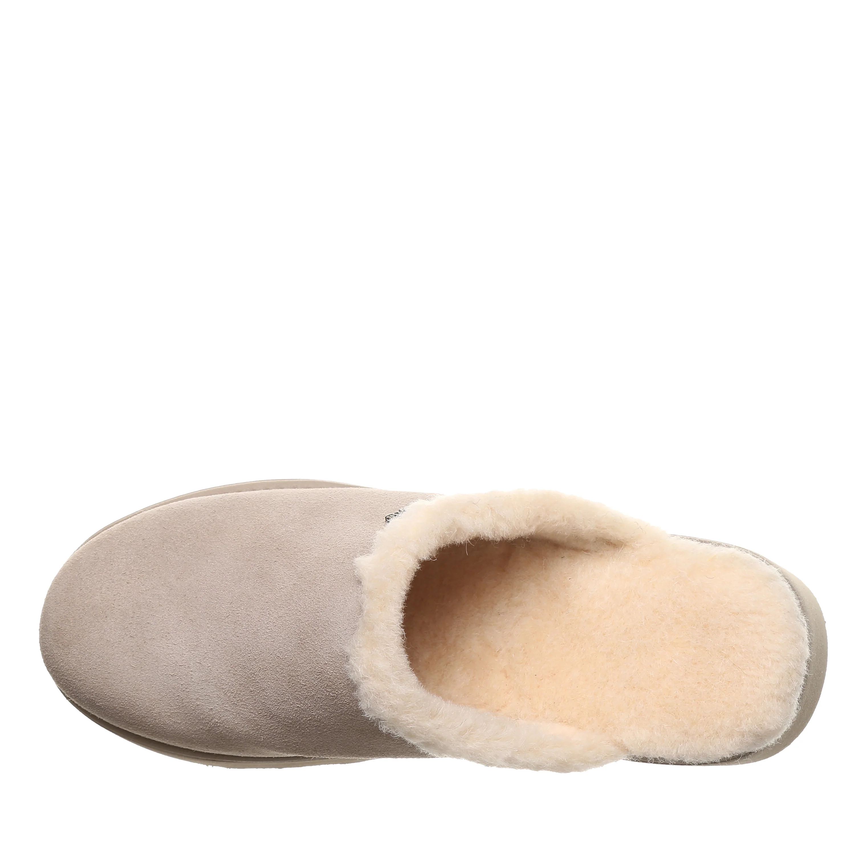 MARNIE MUSHROOM - Image 3