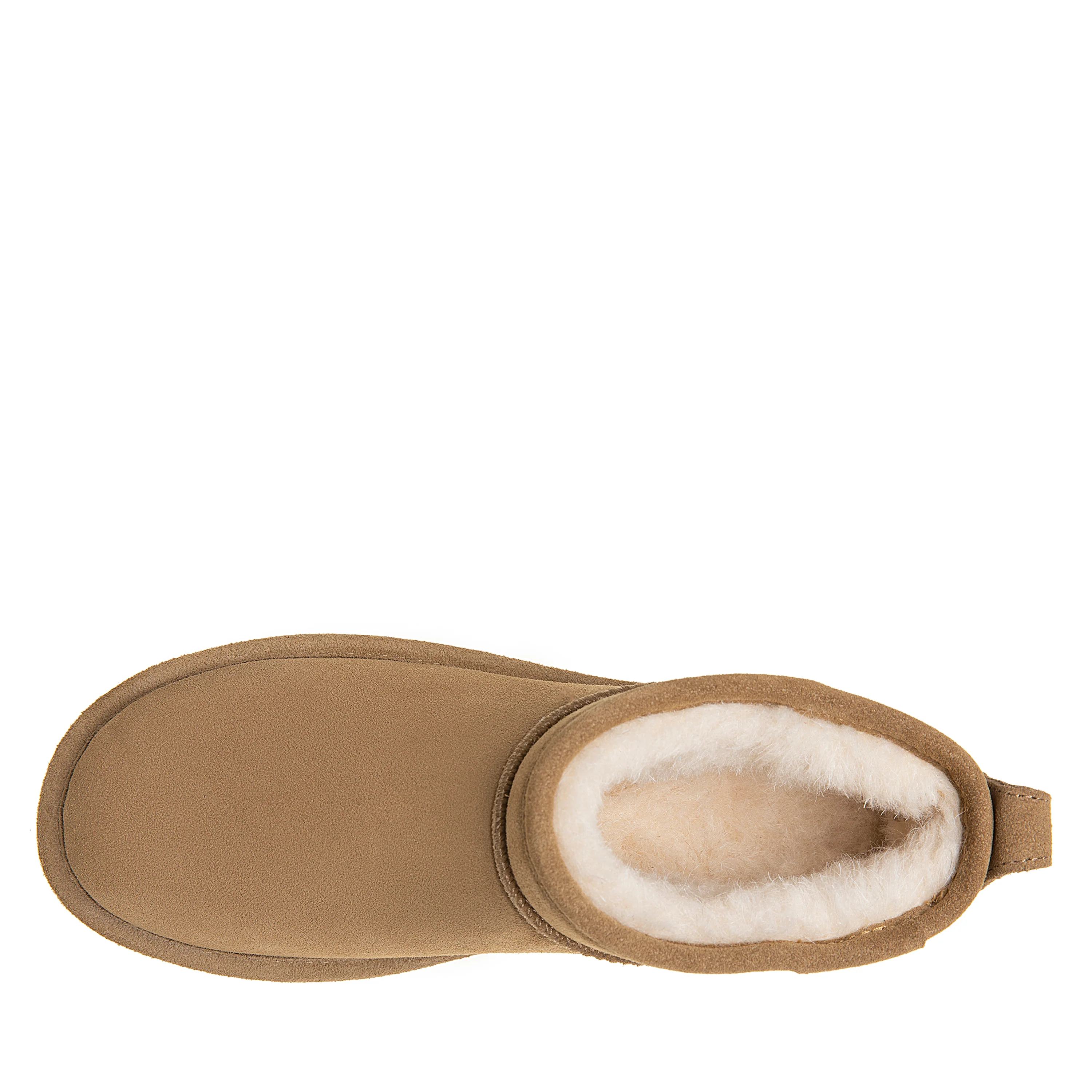 SHORTY HICKORY - Image 5