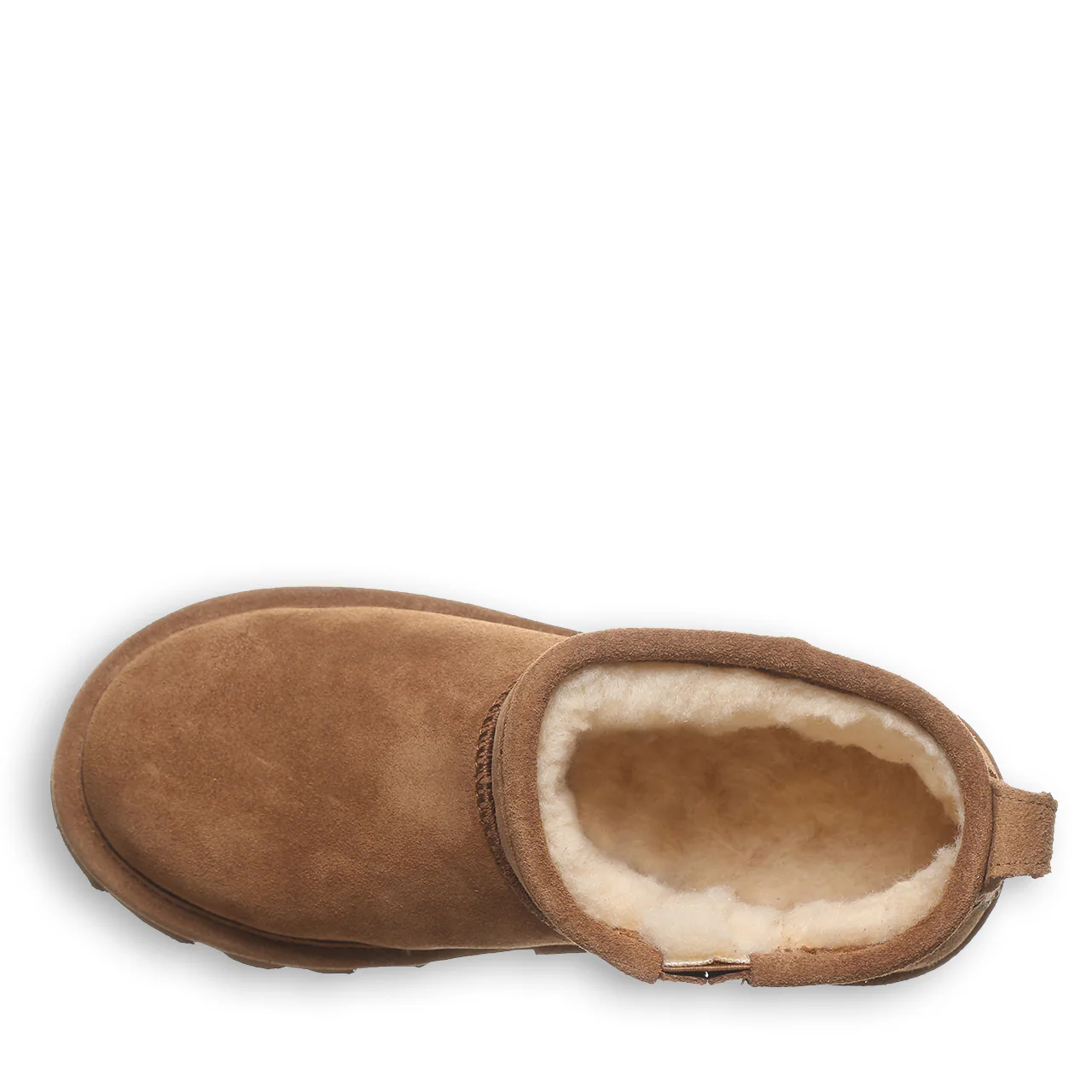 SHORTY YOUTH HICKORY - Image 5