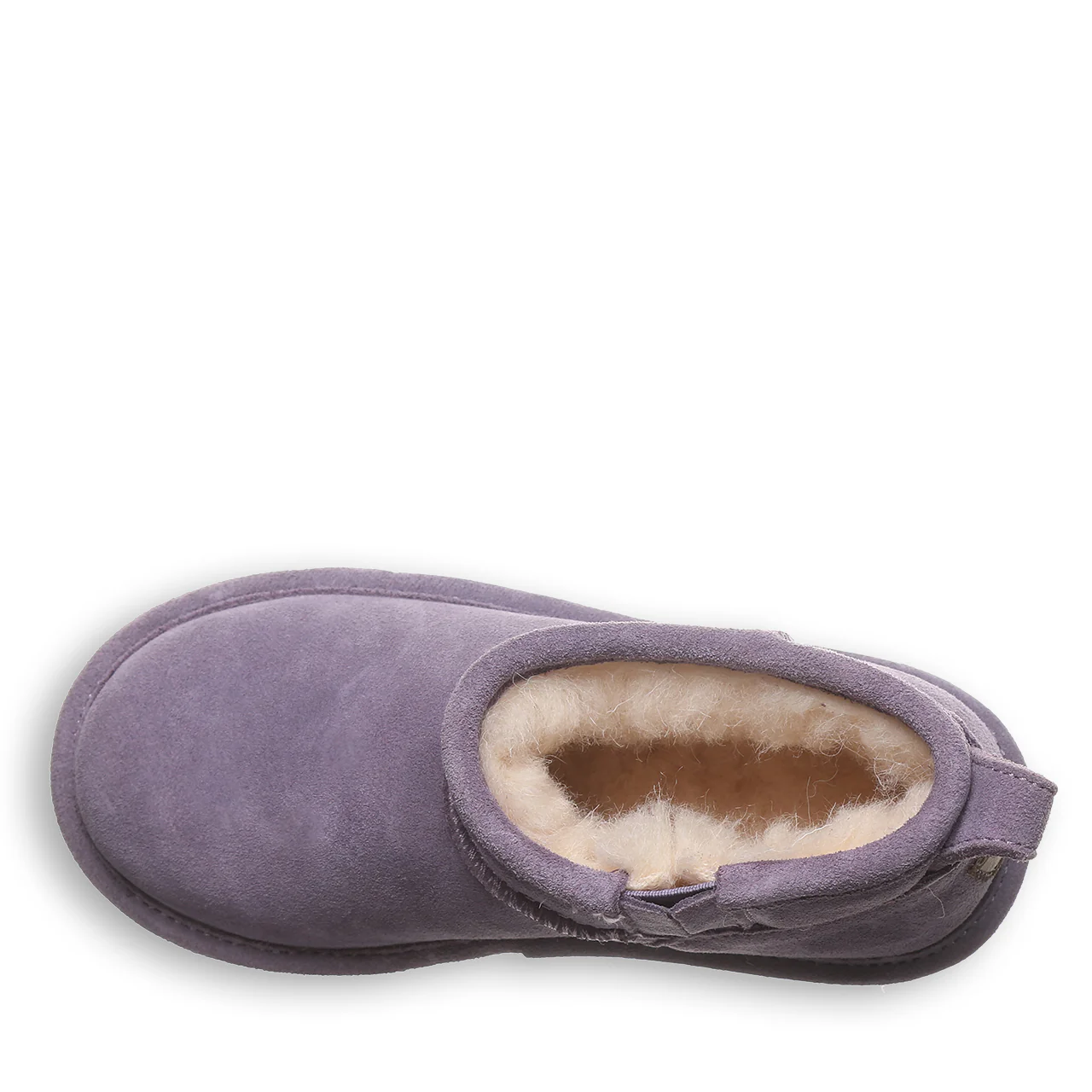 SHORTY YOUTH PURPLE SAGE - Image 5