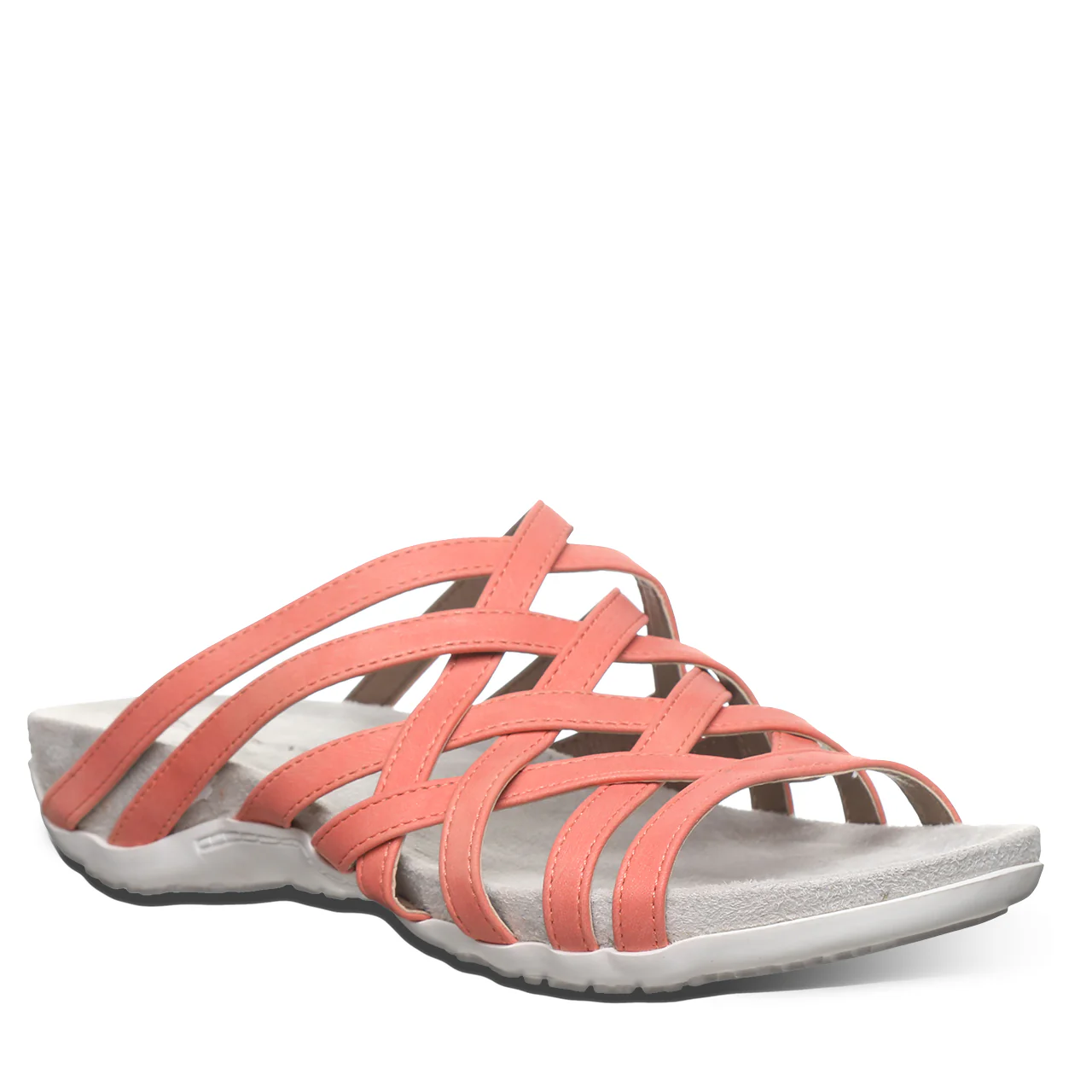 ZINNIA CORAL - Image 2