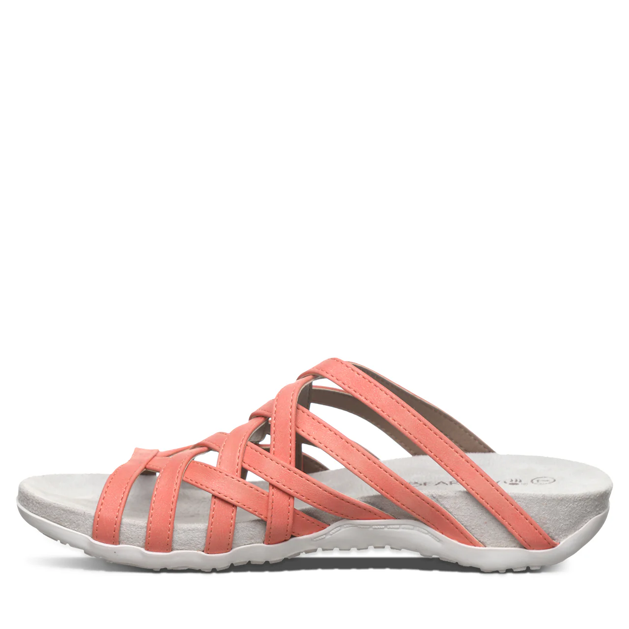ZINNIA CORAL - Image 3